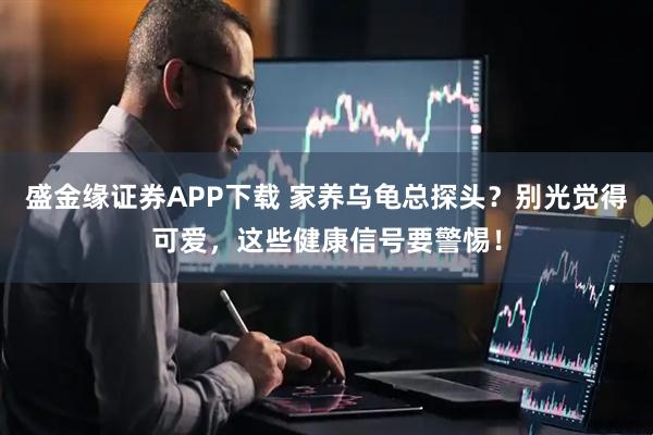 盛金缘证券APP下载 家养乌龟总探头？别光觉得可爱，这些健康信号要警惕！