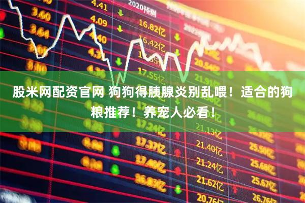 股米网配资官网 狗狗得胰腺炎别乱喂！适合的狗粮推荐！养宠人必看！