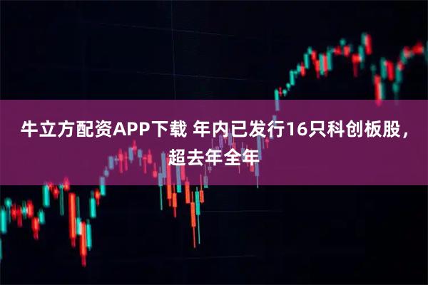 牛立方配资APP下载 年内已发行16只科创板股，超去年全年