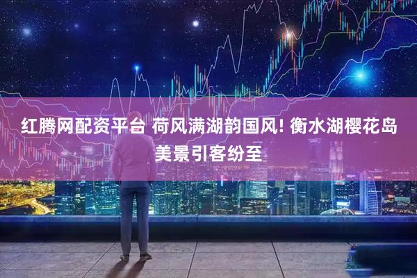 红腾网配资平台 荷风满湖韵国风! 衡水湖樱花岛美景引客纷至
